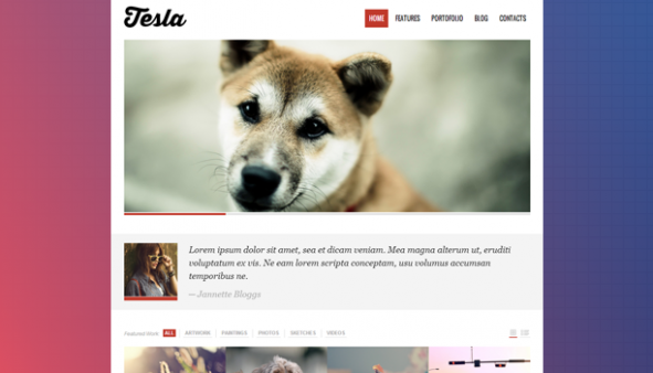 Tesla WordPress Theme